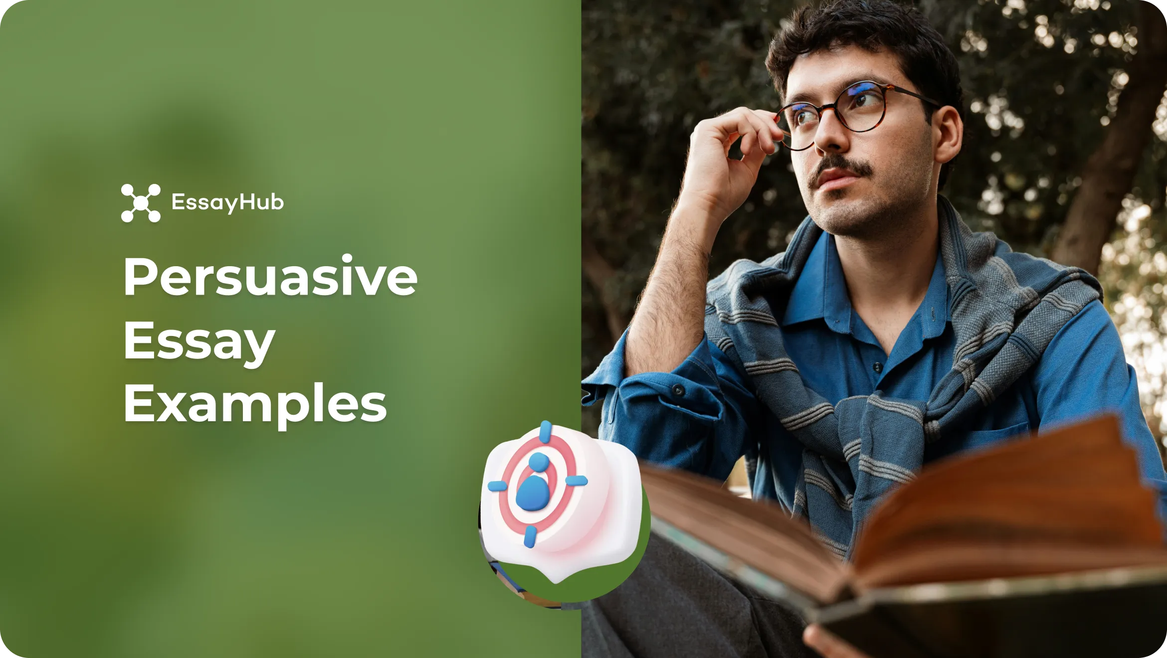 persuasive essay examples