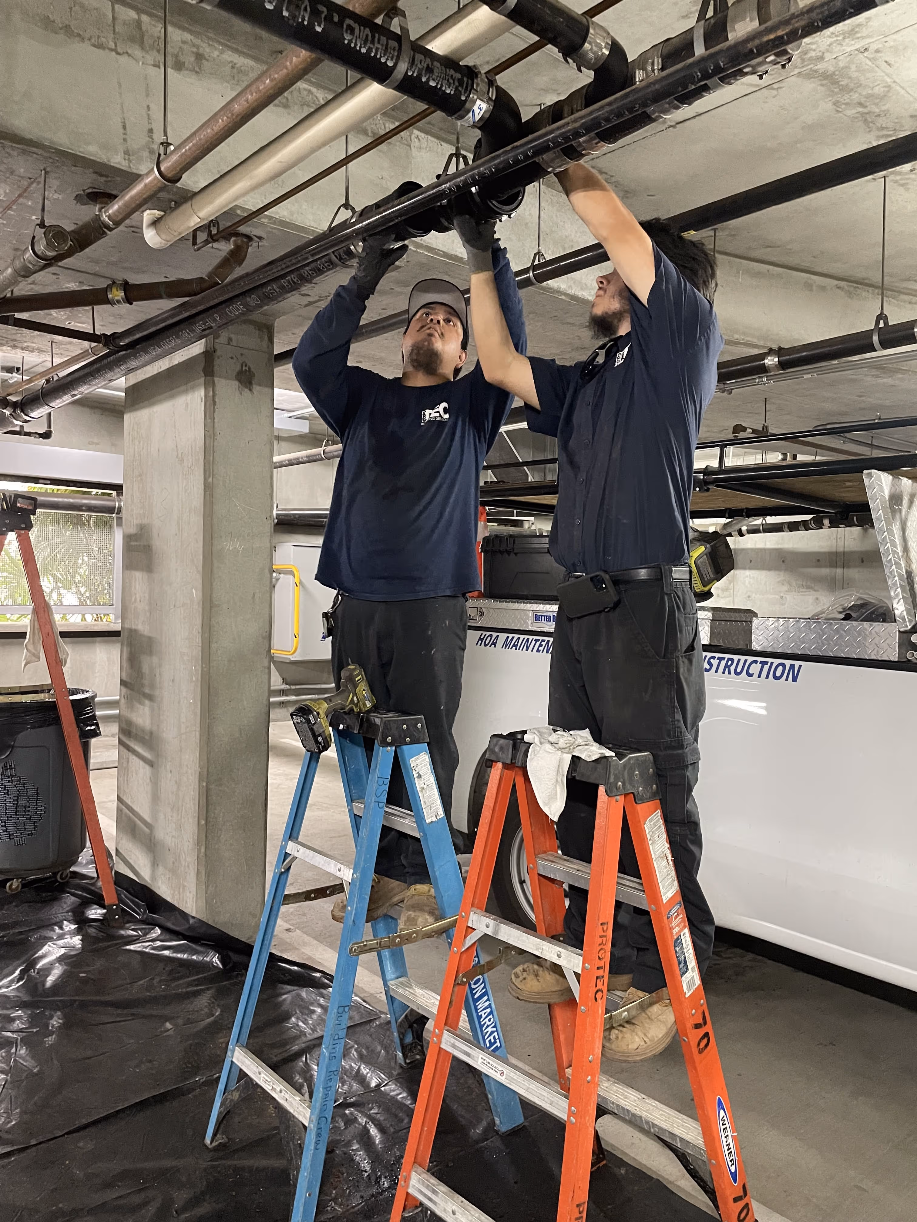 A couple of men standing on top of ladders.