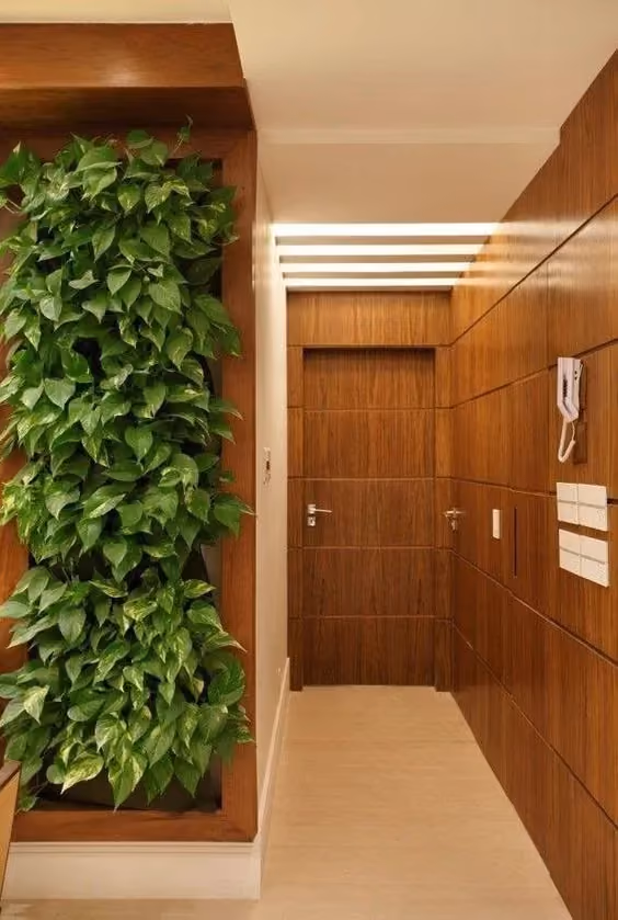 jardim vertical
