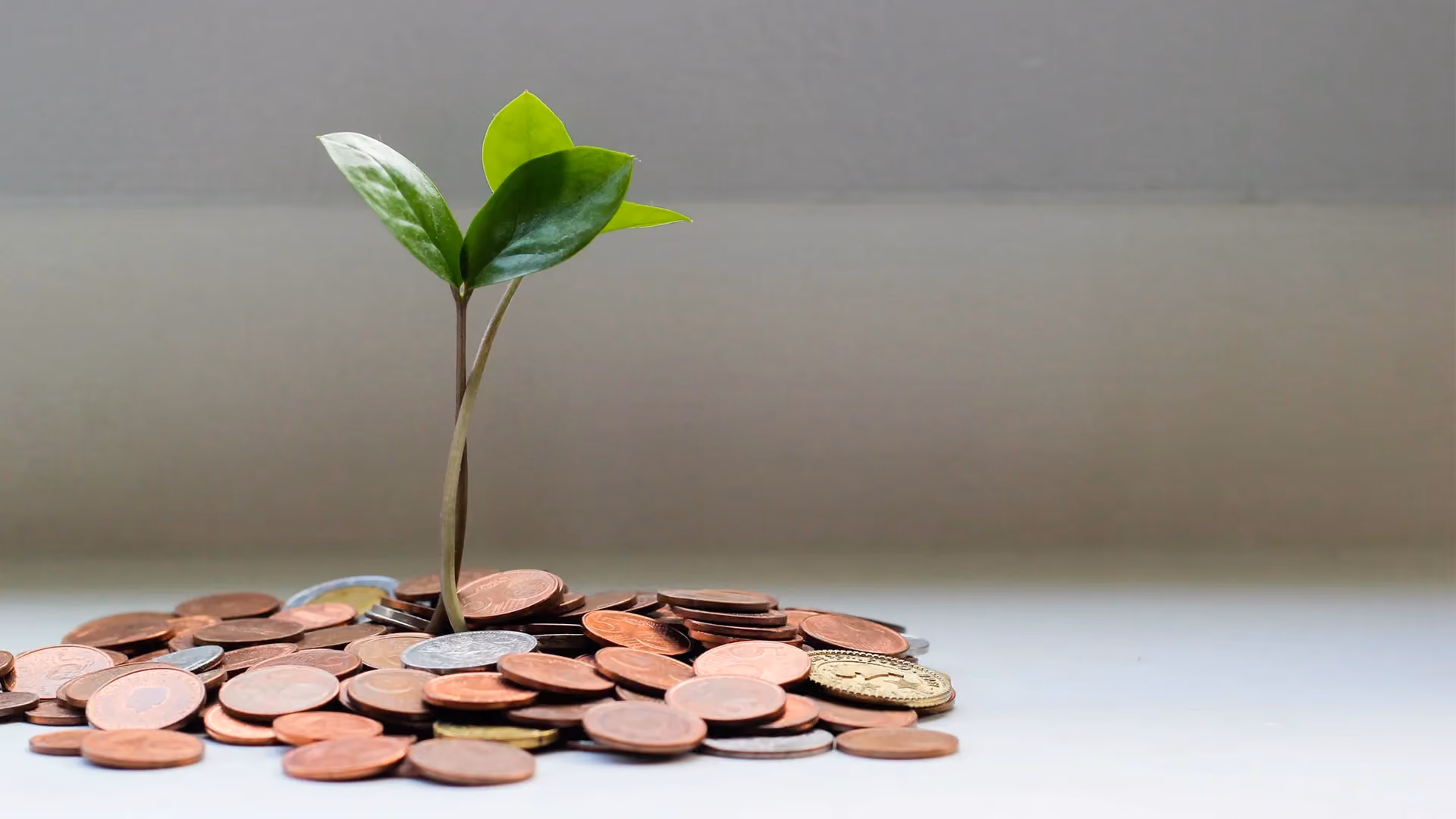 gestão financeira