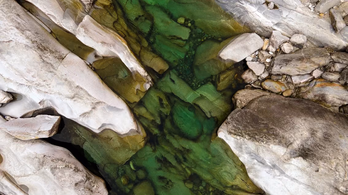 Psicologia das cores verde