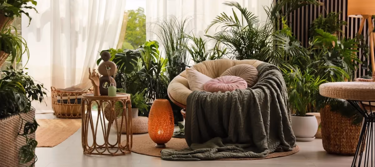 Urban Jungle
