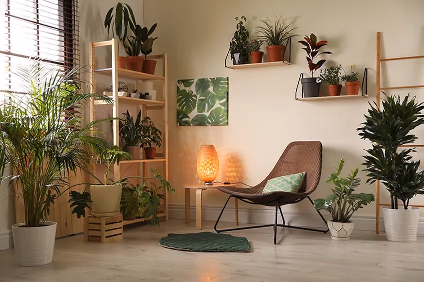 Urban Jungle