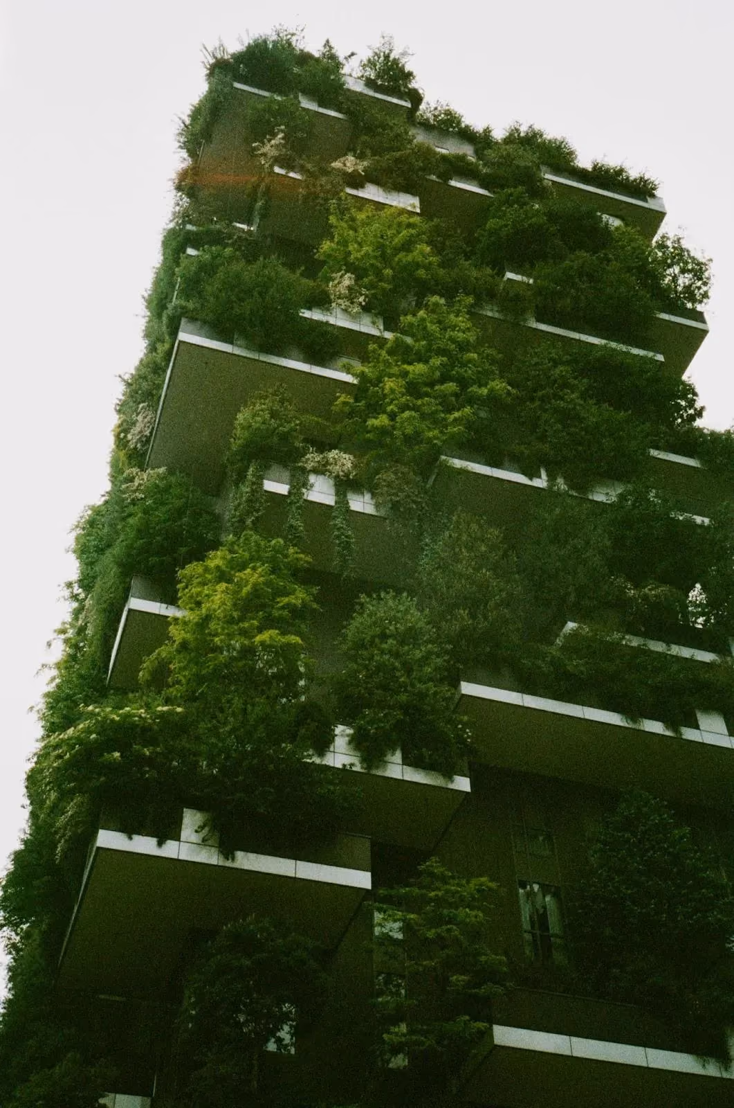 construção verde