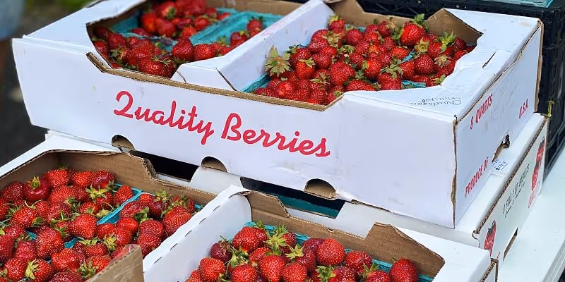 Co-Packing Services R&D Tax Credits Illustration