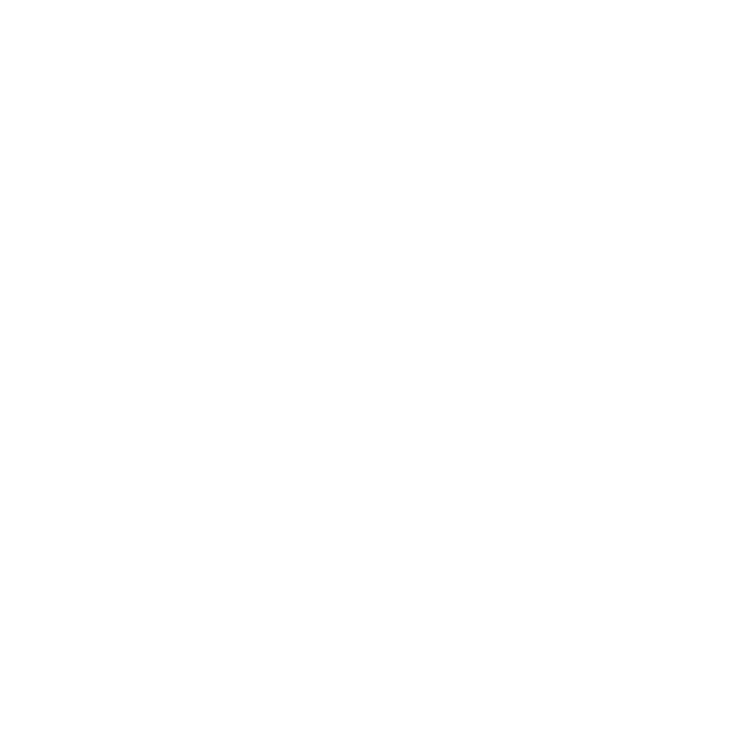 Paine College National Alumni Association logo