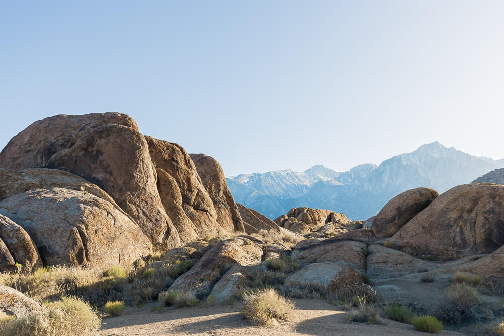 Golden evening light bathes a group of large boulders and small shrubs in the foreground with the Sierra Nevada Mountains in the background