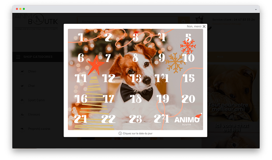 calendrier de l'avent animoboutik