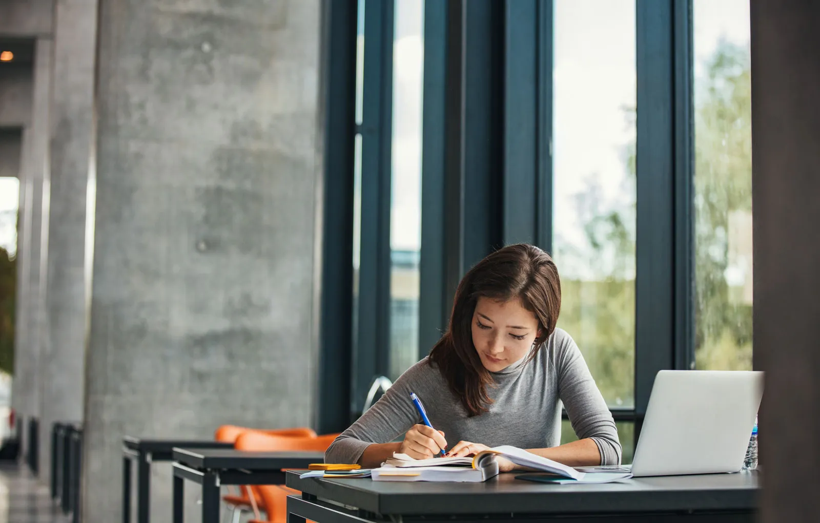 photo of a scholar studying