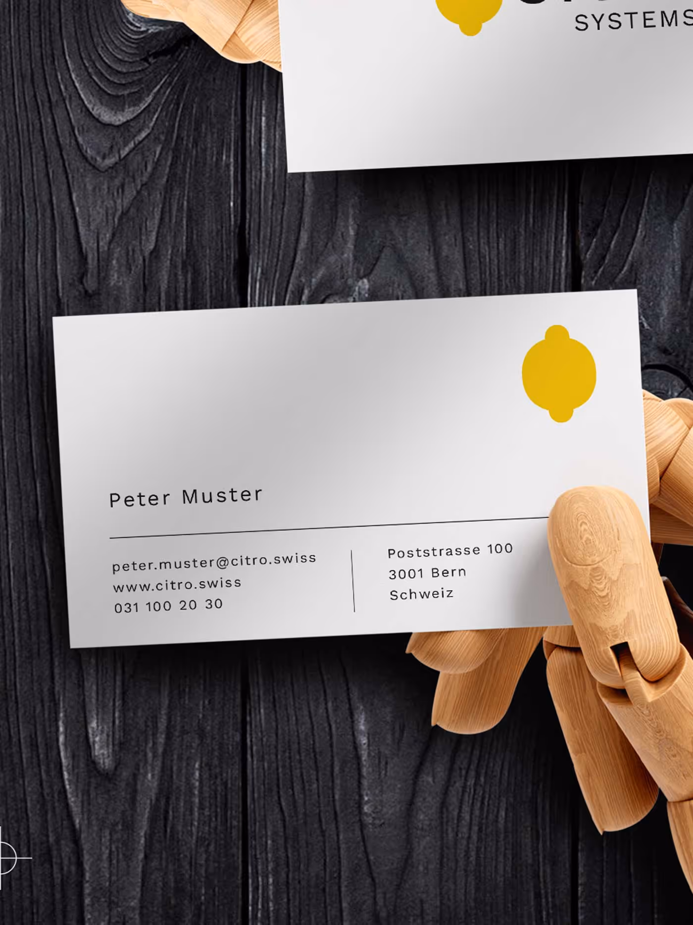 Detailansicht Visitenkarte Design für IT Firma aus Bern