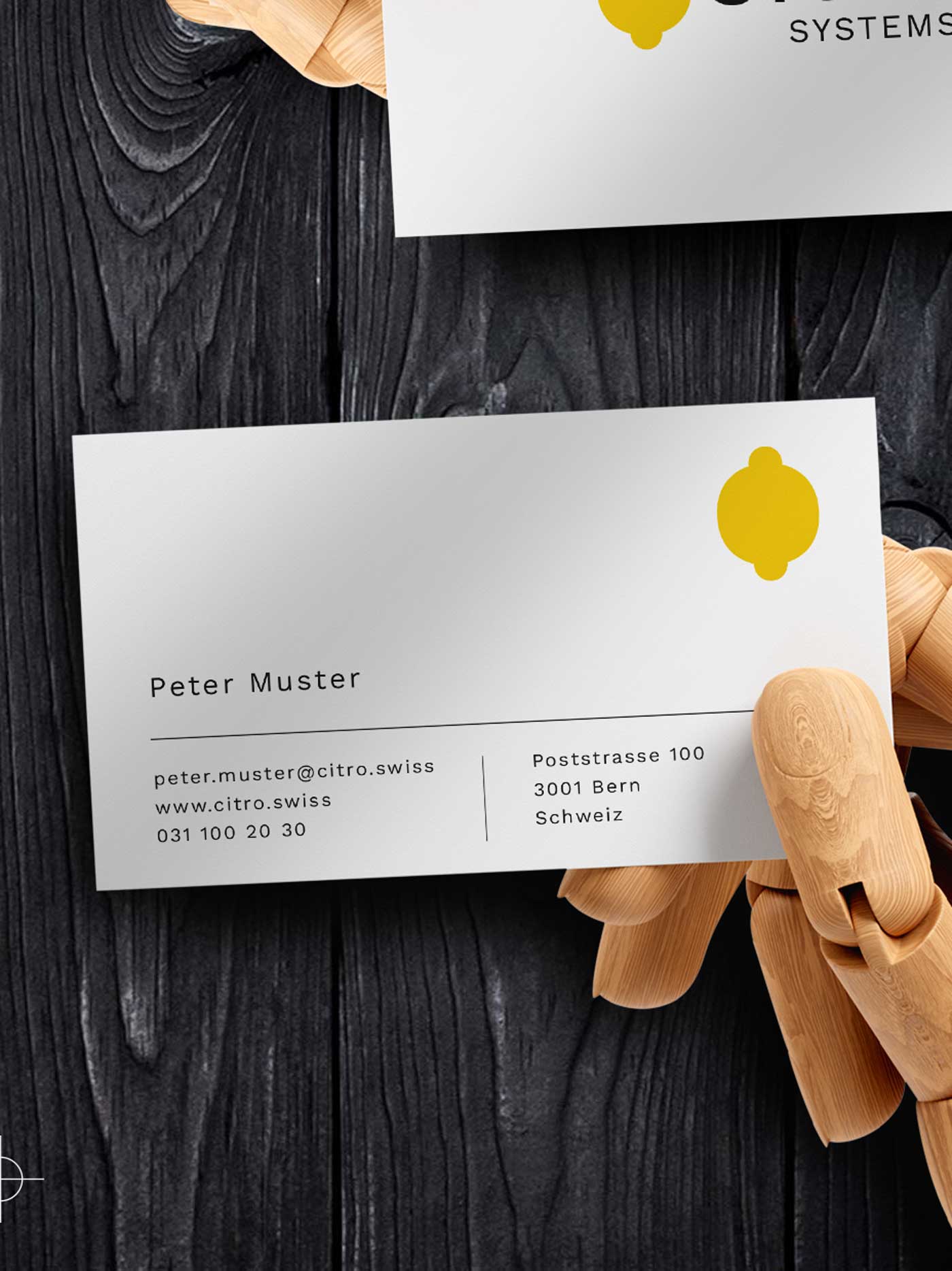 Detailansicht Visitenkarte Design für IT Firma aus Bern