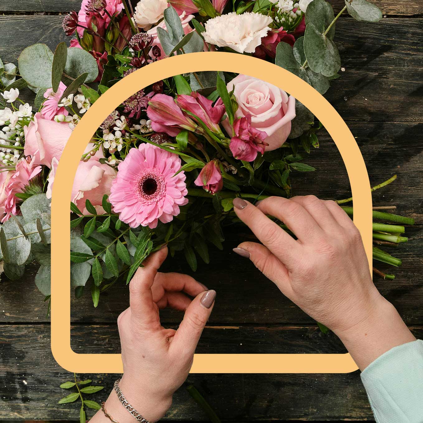 Agentur für Branding und Webseite für KMU aus Bern Namo