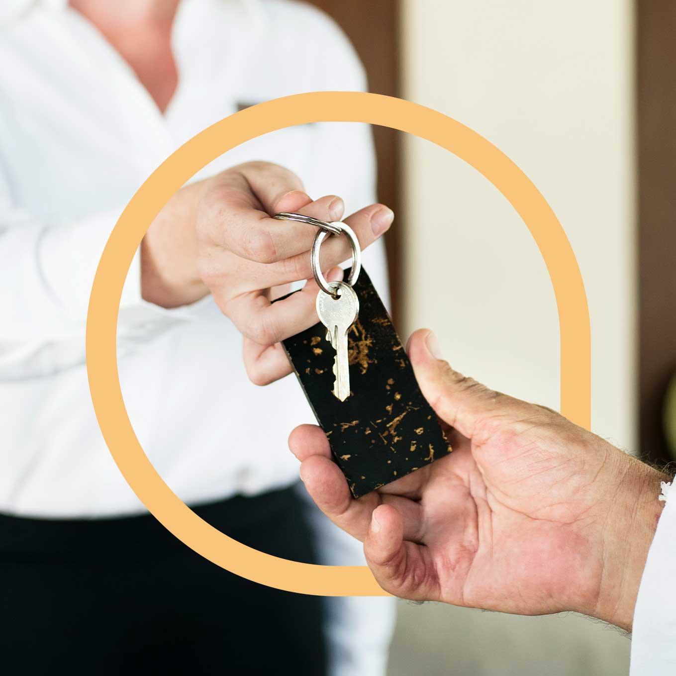 Agentur für Branding und Webseite für KMU aus Bern Namo