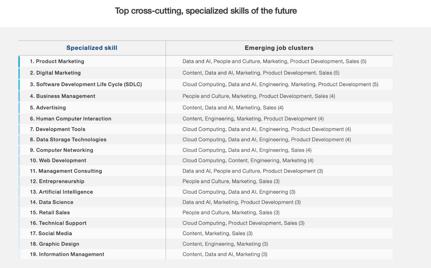 skillset van de toekomst