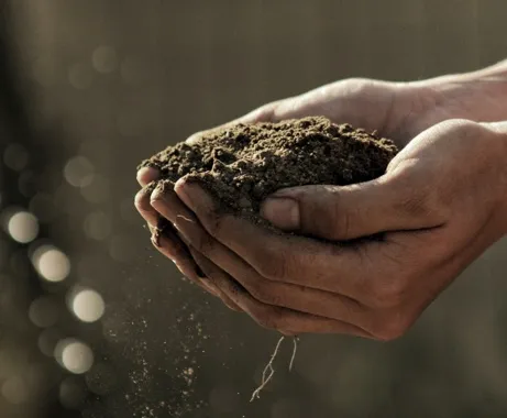 hands holding soil