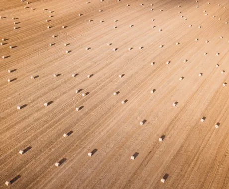 aerial view of straw bales