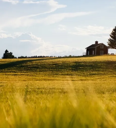 field with farm in the distance
