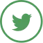 twitterr icon