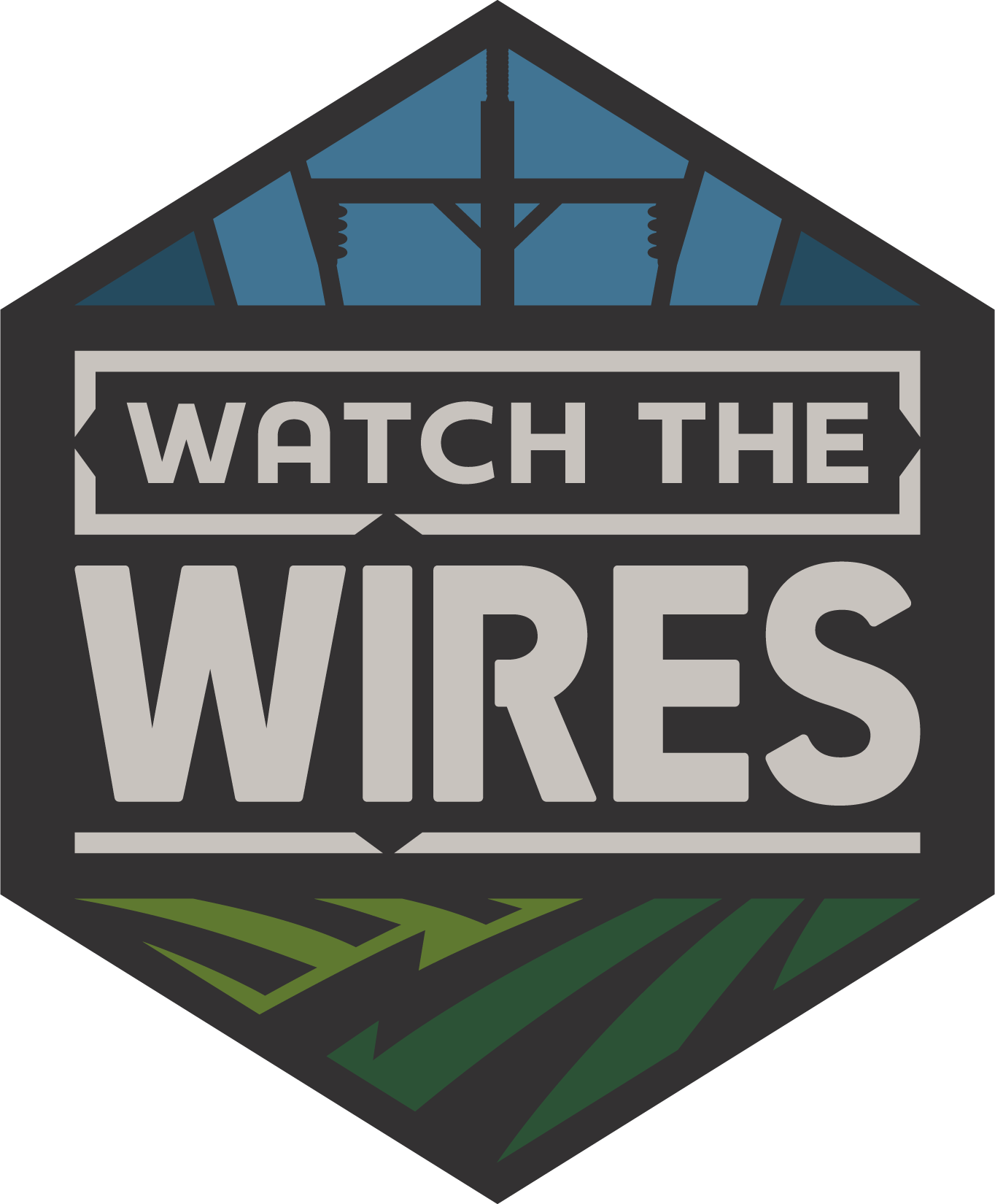 Watch the Wires logo