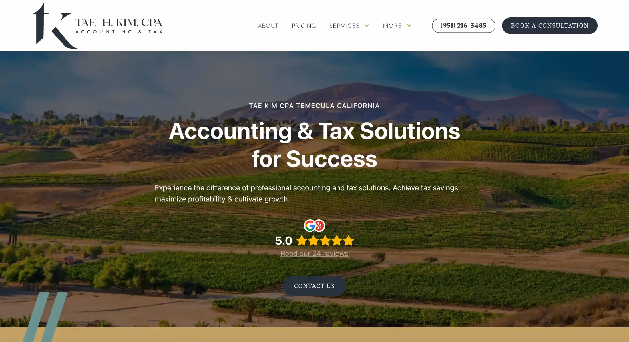 Tae Kim CPA Website Screenshot 1