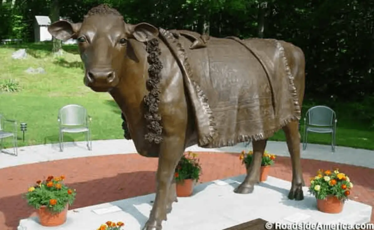 Emily the Cow memorial in Sherborn, Massachusetts.