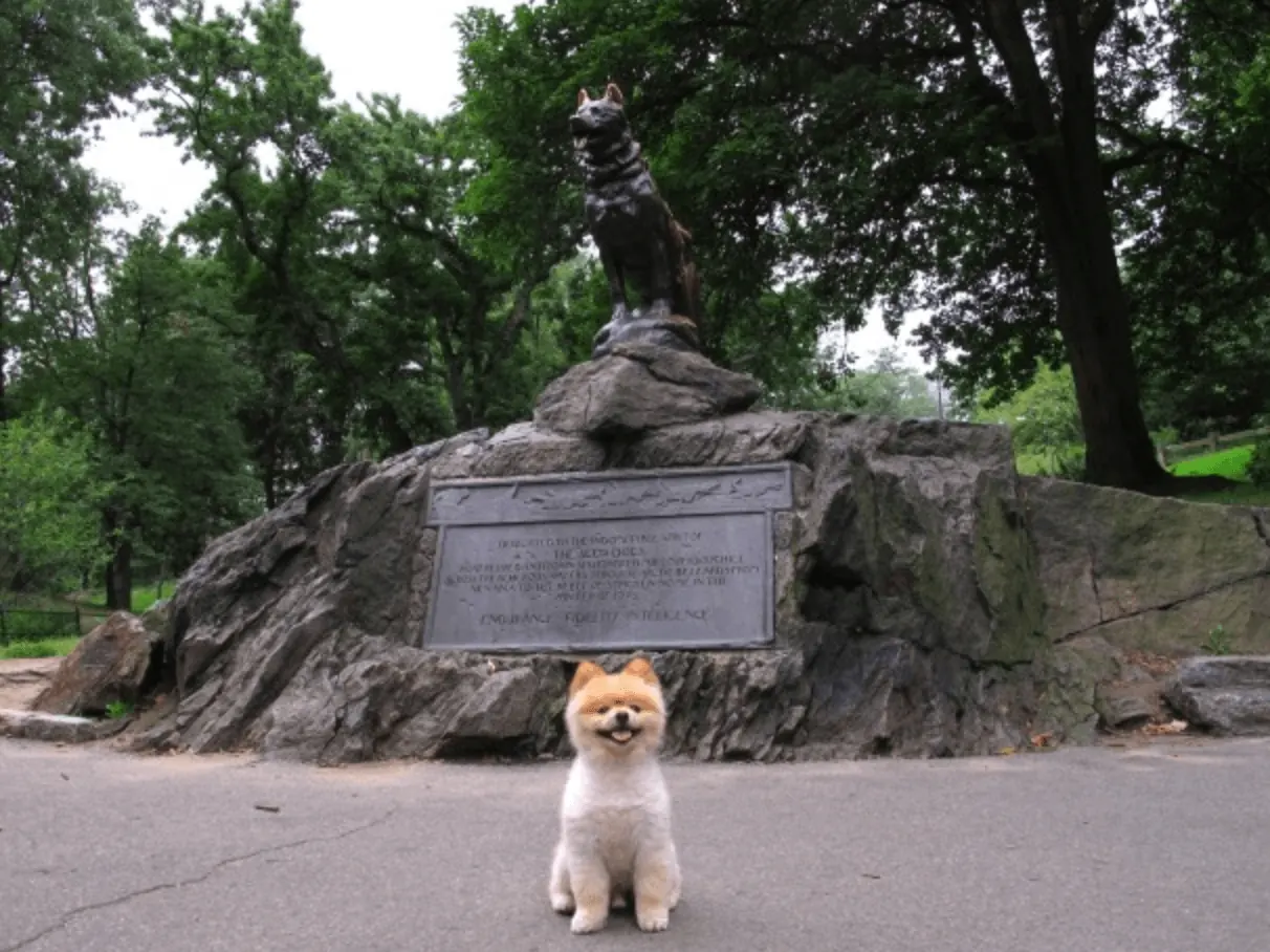 Balto memorial in Central Park, New York City.