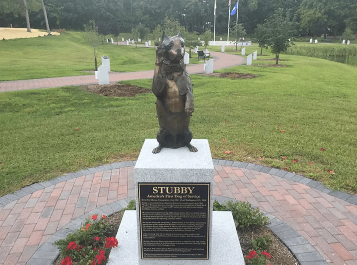Stubby memorial in Washington, DC.