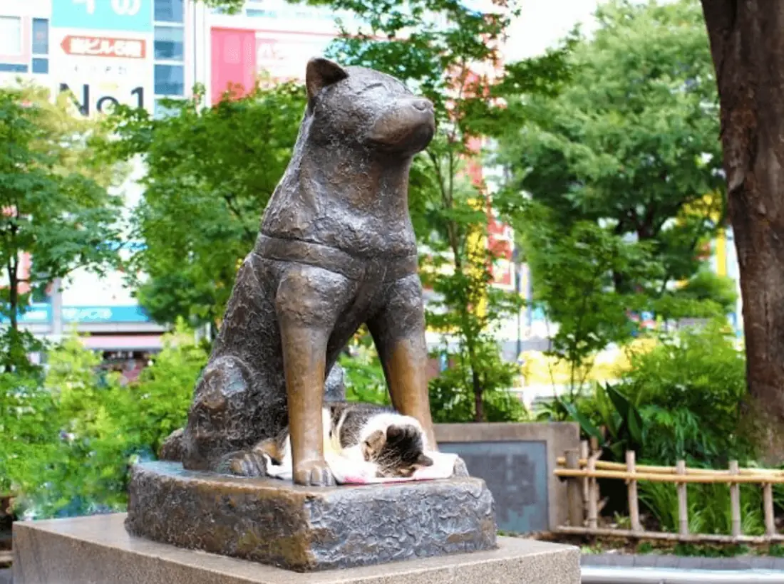 Hachiko memorial in Shibuya Station, Tokyo.