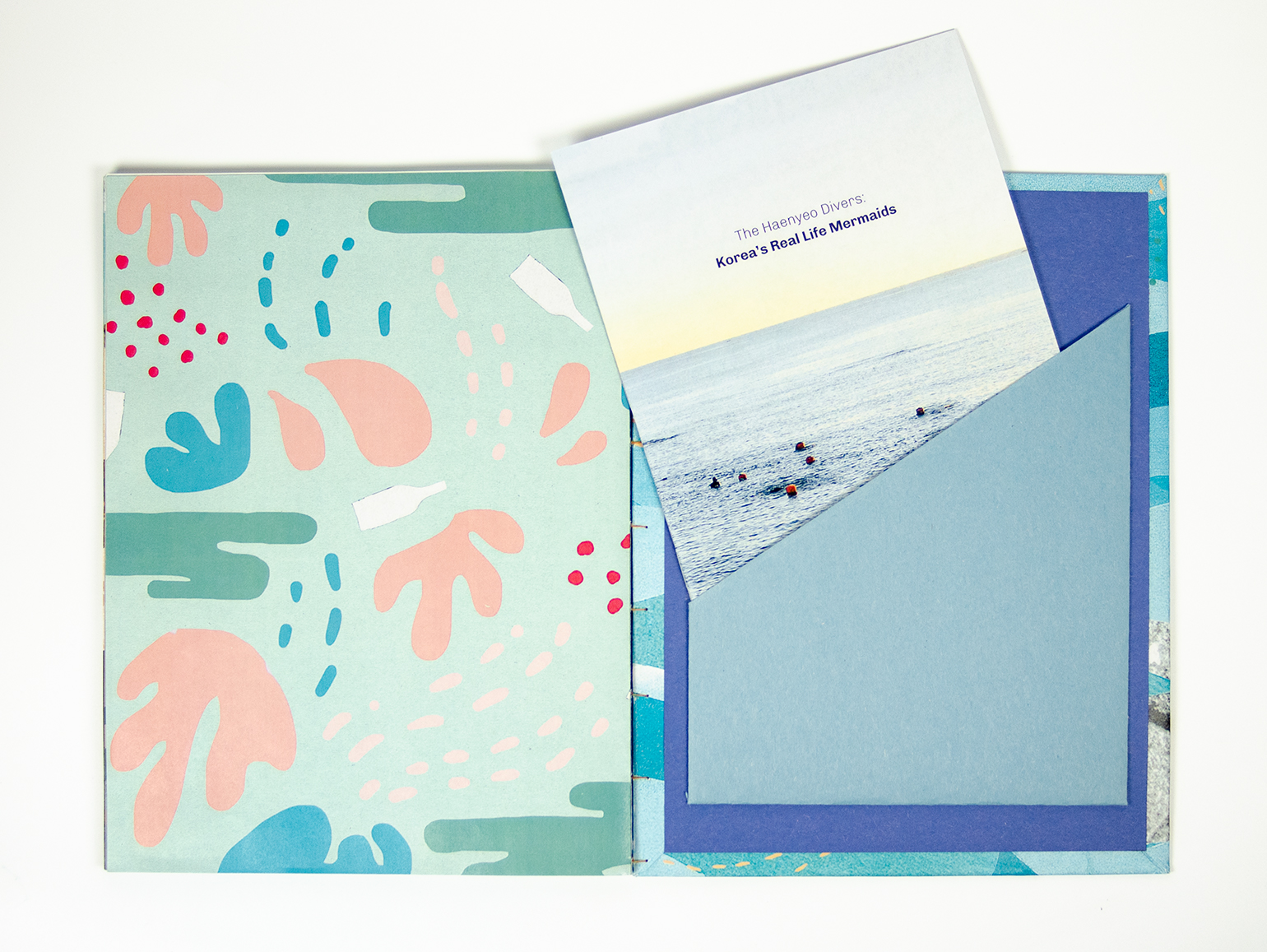 back spread of diver book displaying the informational booklet emerging from the back cover sleeve