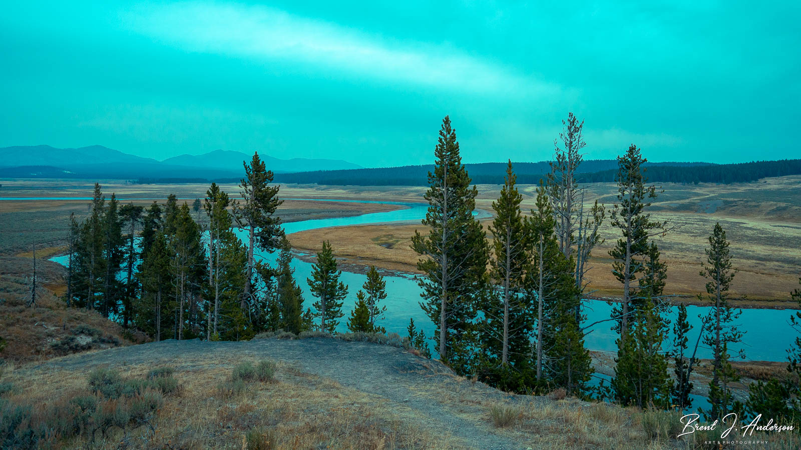 Cropped horizontal landscape photo. Evening photo of a line of pine trees on a hillside overlooking a snaking river below. Calm waters of the river reflect the blue evening sky.