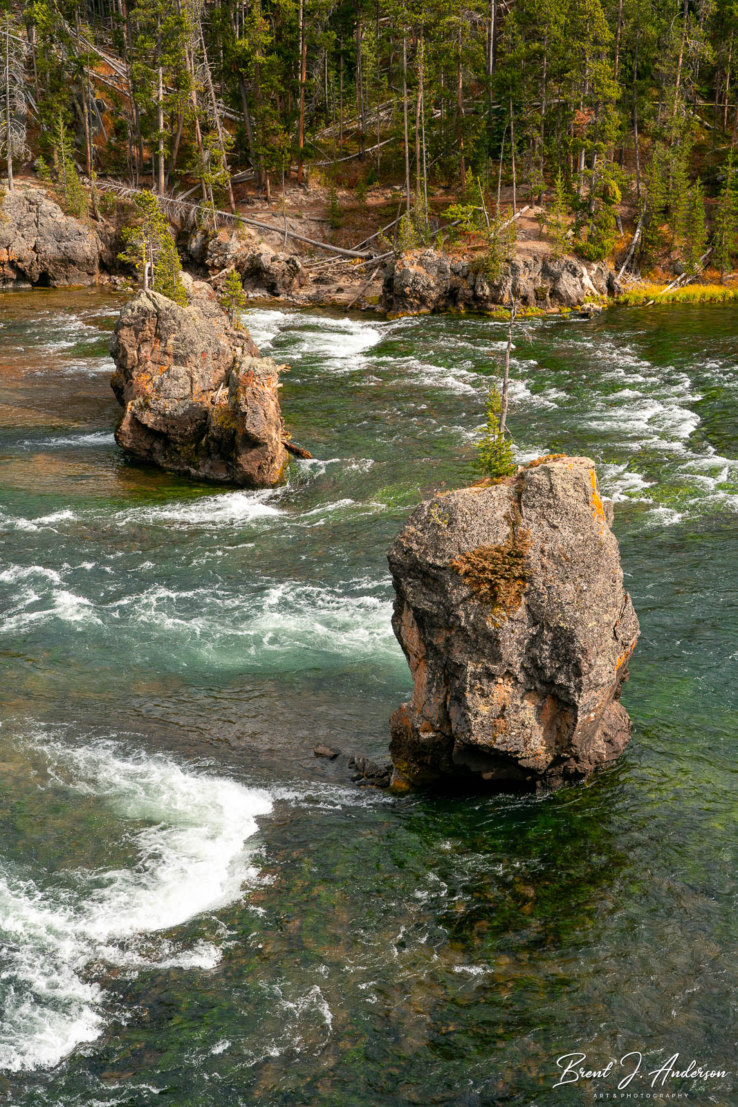 Vertical landscape photo. Two large rock formations stand upright in the rapids of the Yellowstone River. The river is a mixture of turquoise and green. 
