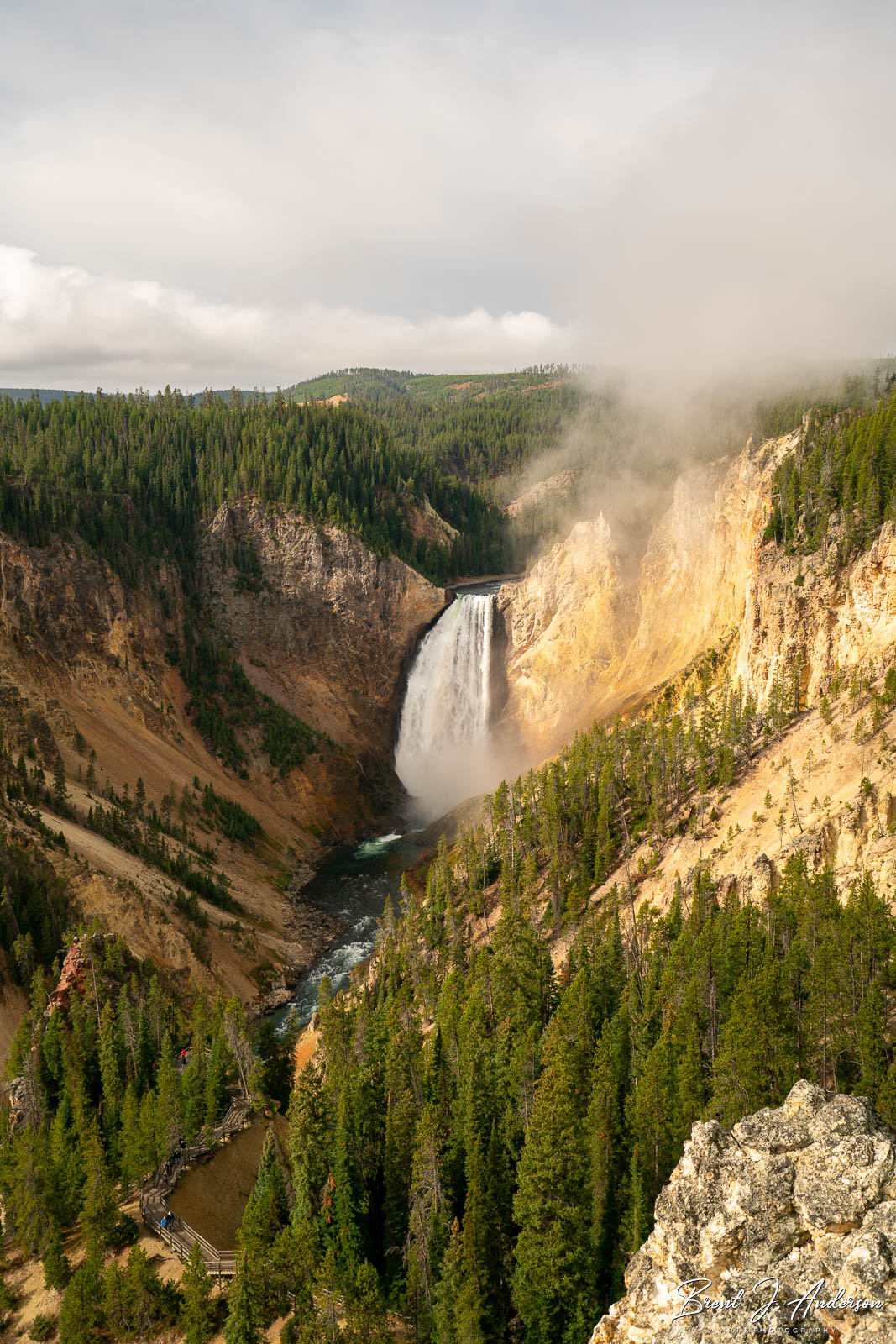 Vertical landscape photo. Morning photograph of the Lower Yellowstone Falls. Morning light falls on the right of the canyon wall and leave the left wall cast in shadow. Morning mist rises from the canyon over the falls. Rain clouds fill the sky in the background.