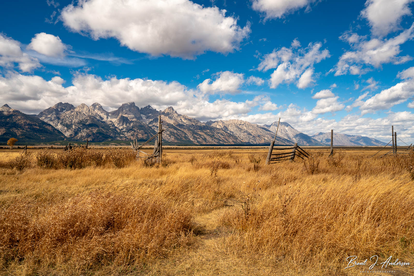 Horizontal landscape photo. Golden field with old wooden farm fence and open gate looking west towards Grand Teton mountain range. Overhead bright blue sky filled with large white clouds.