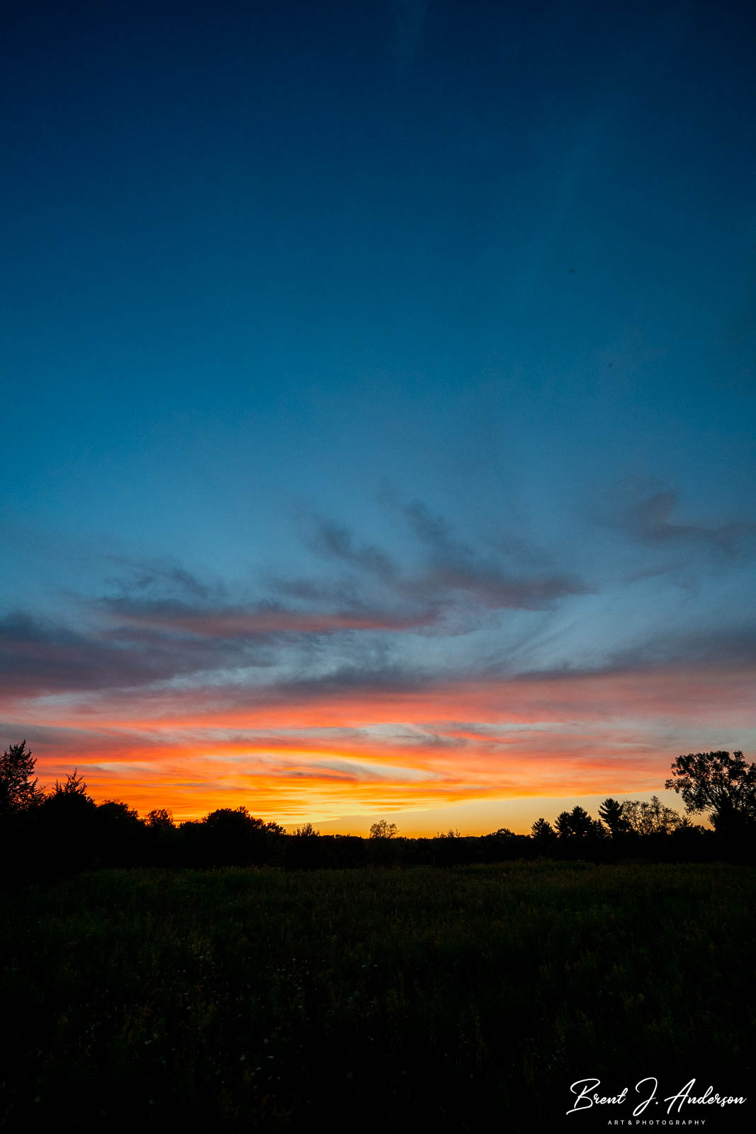 Vertical landscape photograph. Field in silhouette, with last light of a sunset in bright yellow, orange, pink clouds over the horizon. Sky quickly transitions from bright blue to deep dark blue at the top of the photograph.