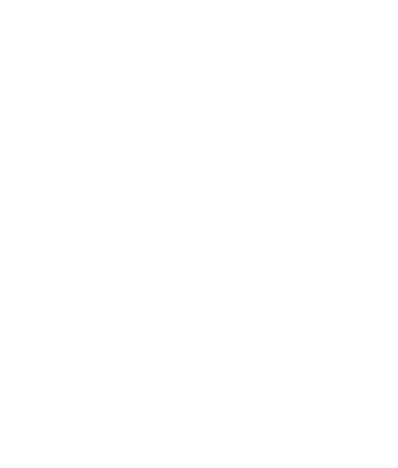 2019