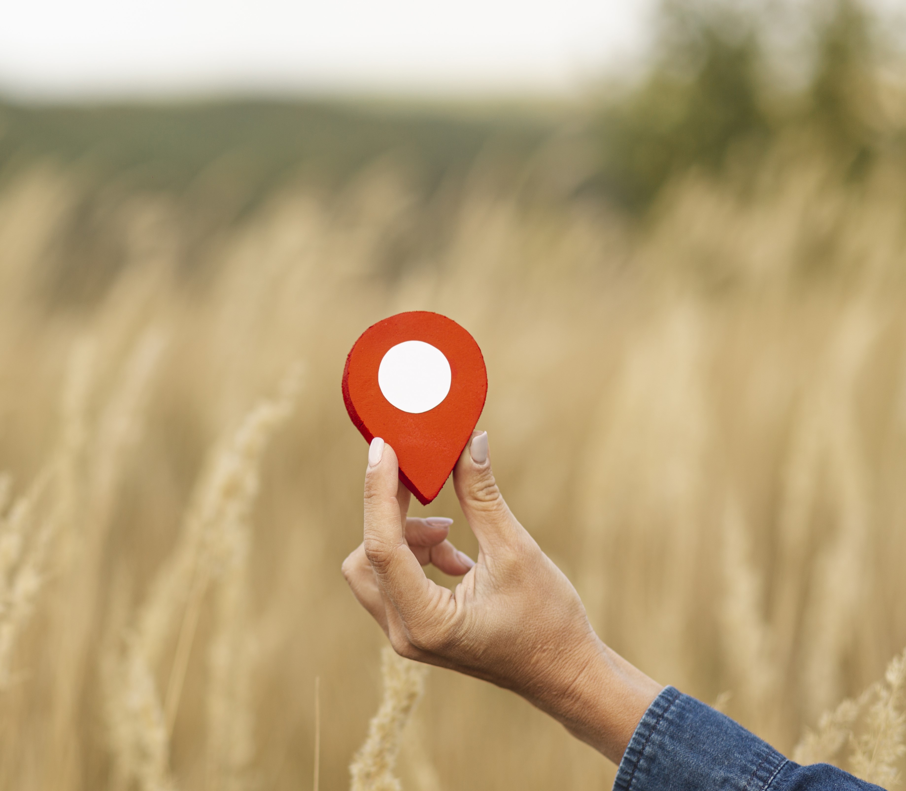 Local skills and workforce