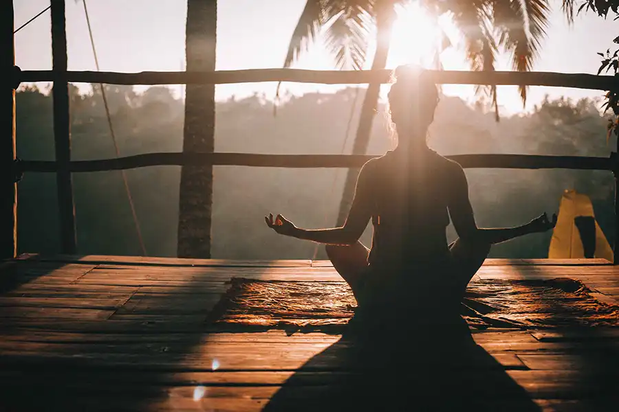 Rise of Psychedelics Boost, Psychedelic Retreats, Group Retreats