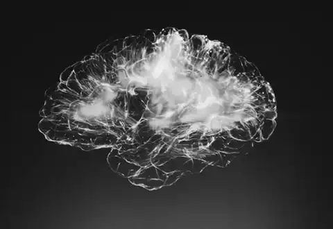 Stoned ape theory - how plant medicine may have played a role in accelerating the development of our prefrontal cortex 