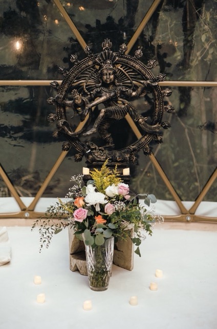 Ayahuasca Retreat in Mexico Alter