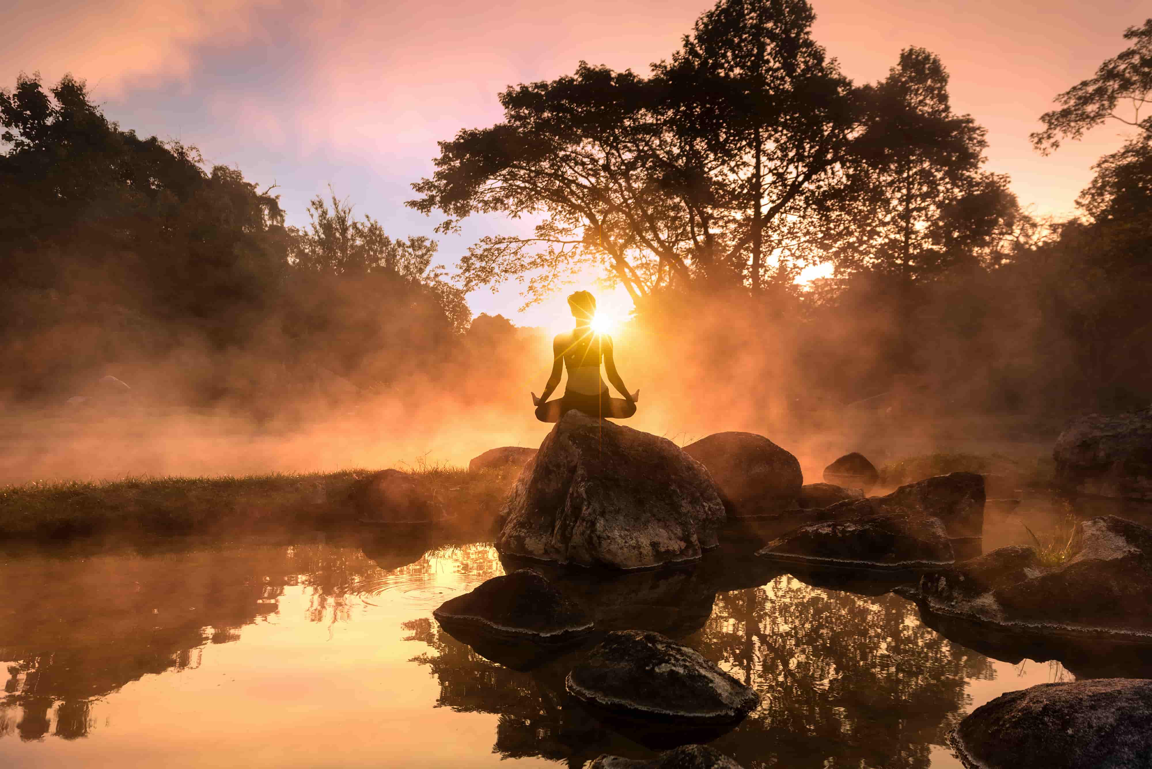 What a psychedelic retreat is really like: ceremony space at a Behold Retreats location