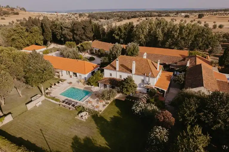 Weekend Bufo (5-MeO-DMT) Retreat in Portugal
