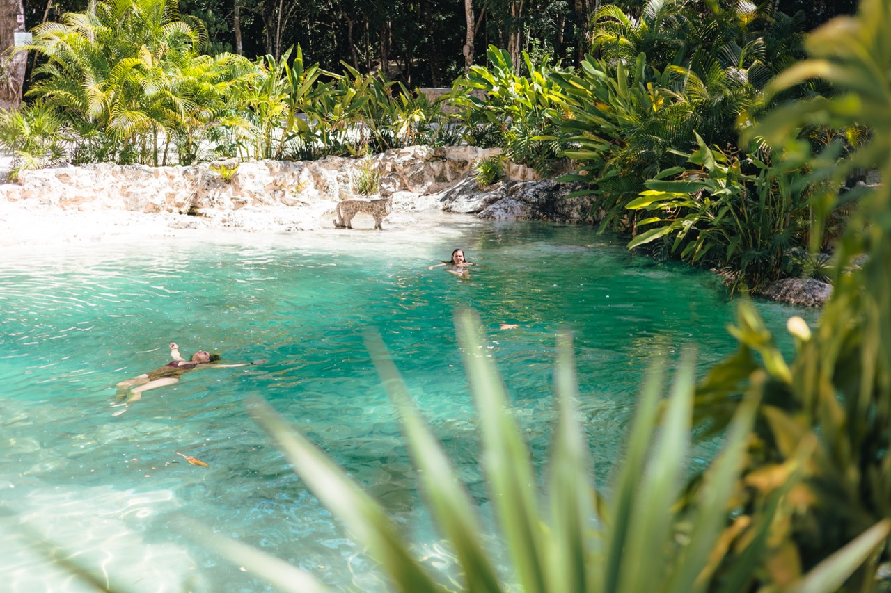 Ayahuasca Retreat in Mexico