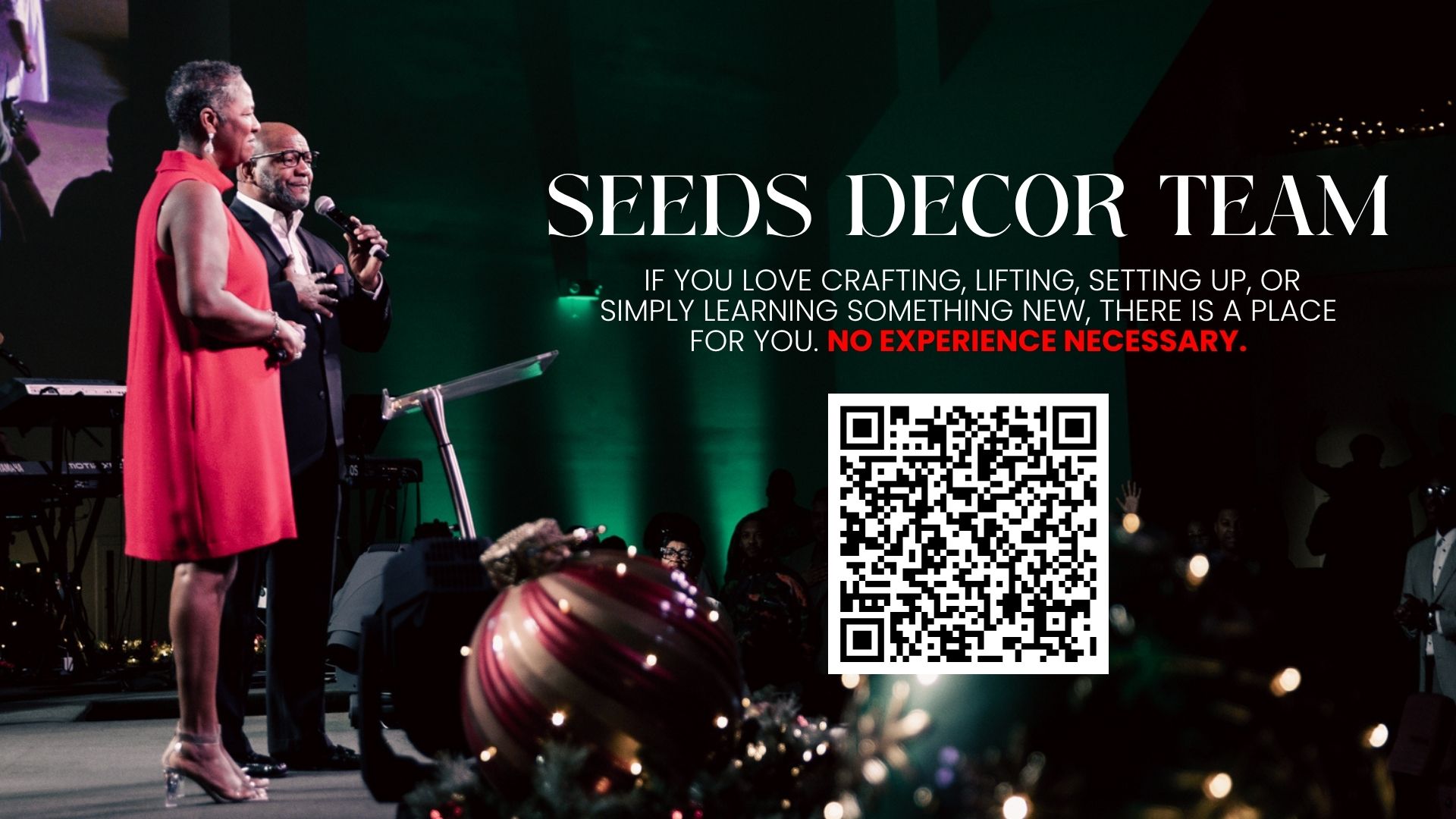 Seeds Decor Team