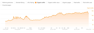 organic traffic increase for Functionize by Loopex Digital