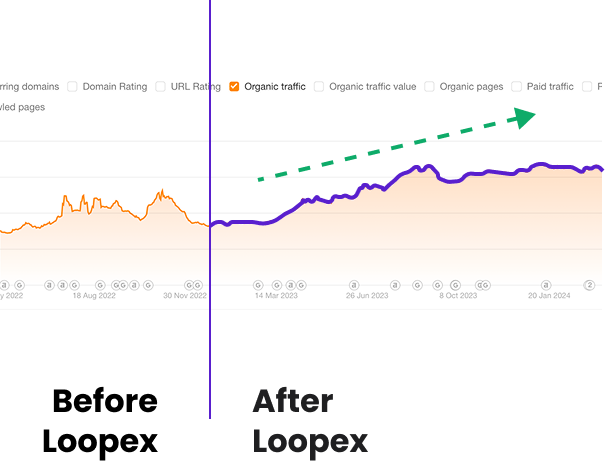 traffic boost for a client by Loopex Digital