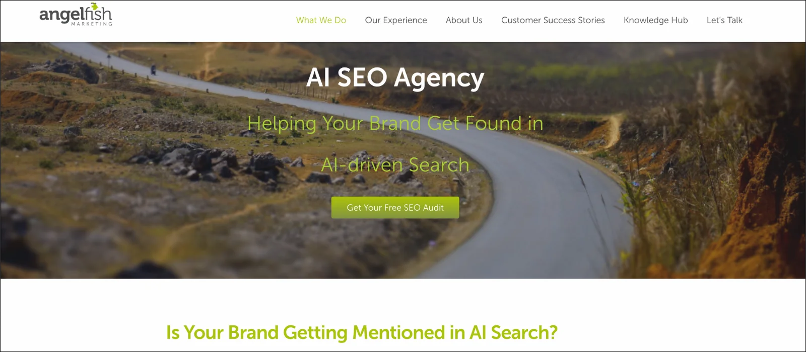 angelfish marketing AI SEO Agencies