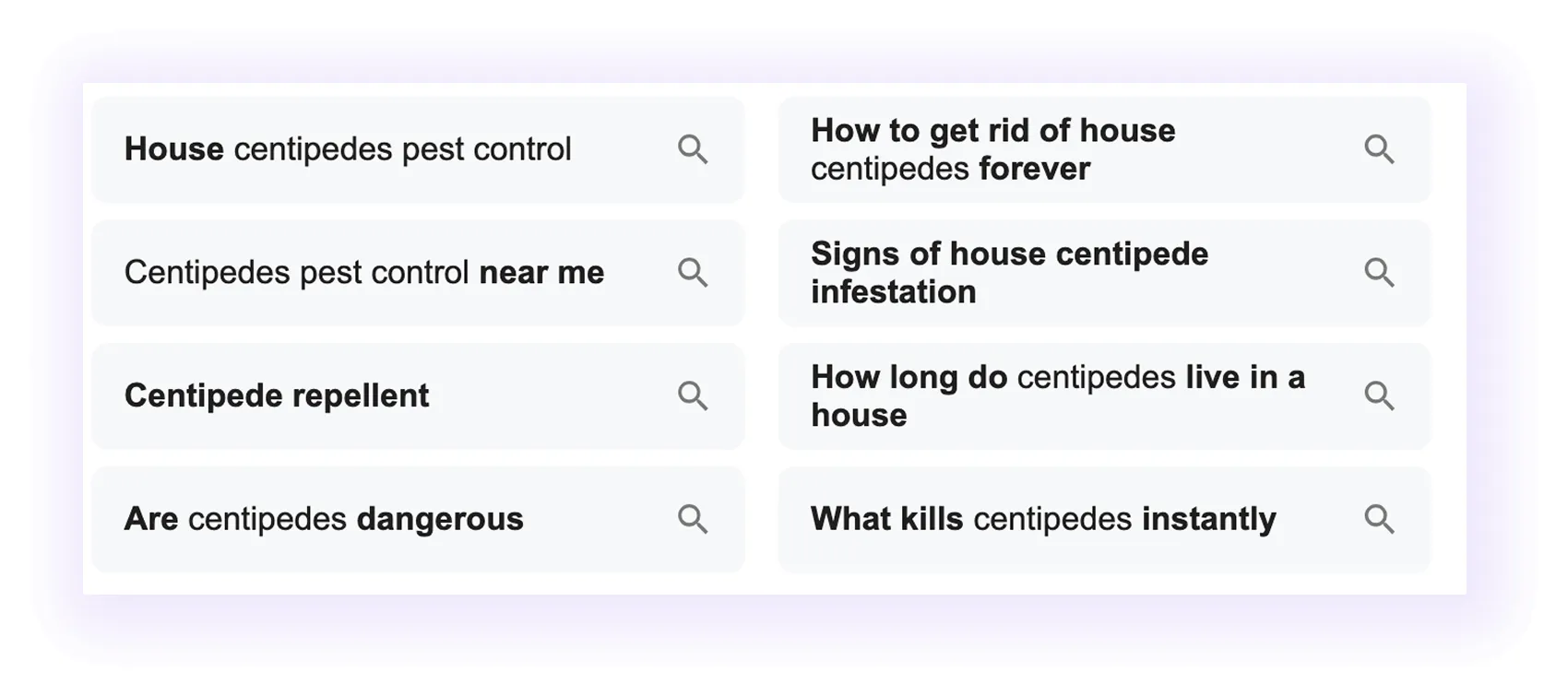 People Also Ask section for Pest Control SEO 