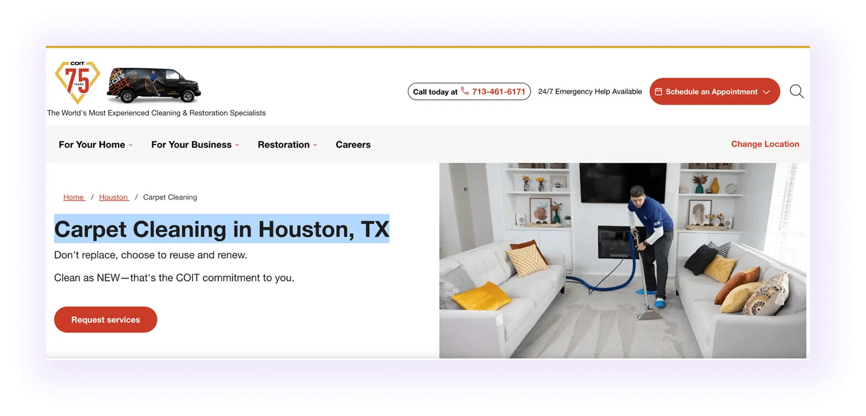national carpet cleaner website homepage hero section example with a targeted local keyword