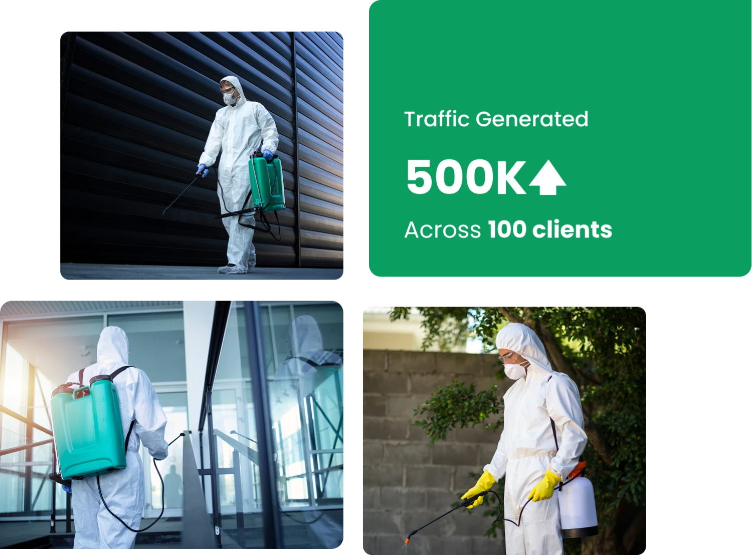 SEO for Pest Control Companies