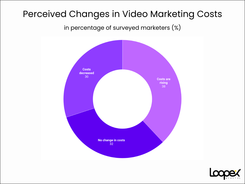 Perceived Changes in Video Marketing Costs